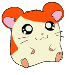 Hamu-tar le Hamster